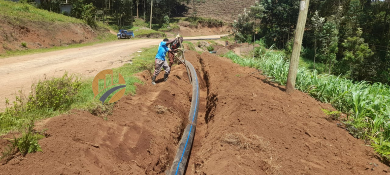 Untitled design (21)