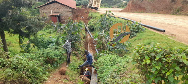 Untitled design (23)