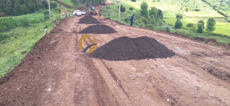 Untitled design (31)